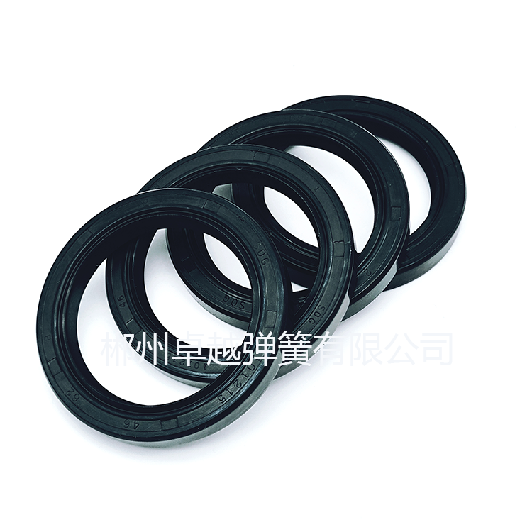 在眾多密封件中，彈簧蓄能密封件以其出色的性能脫穎而出，尤其是在應(yīng)對各種腐蝕性介質(zhì)方面表現(xiàn)卓越。